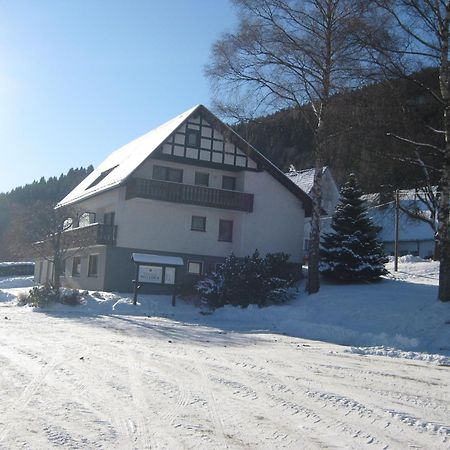Pension-Gaestehaus Waldhof Winterberg Exterior photo