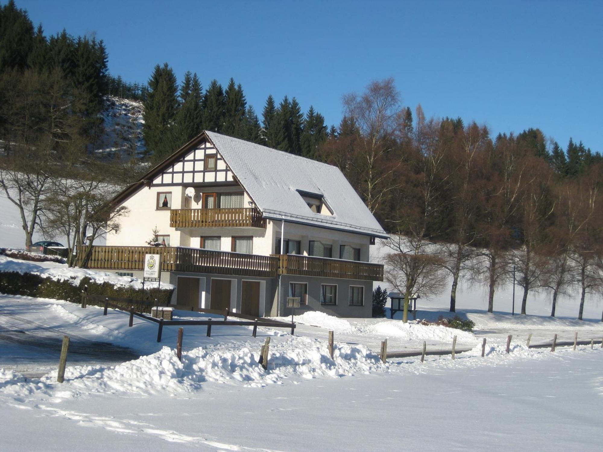 Pension-Gaestehaus Waldhof Winterberg Exterior photo